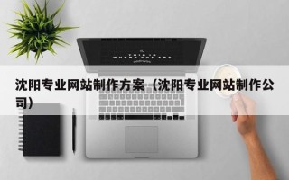 海西沈阳专业网站制作方案（沈阳专业网站制作公司）